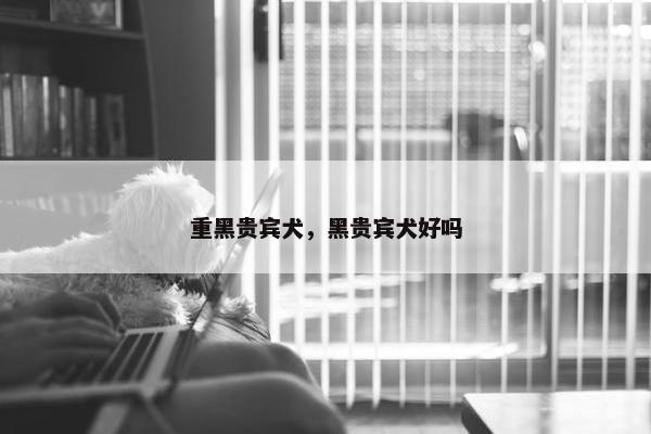 重黑贵宾犬，黑贵宾犬好吗