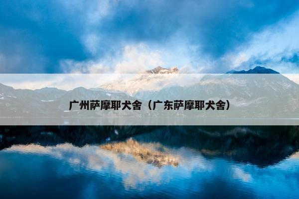 广州萨摩耶犬舍（广东萨摩耶犬舍）