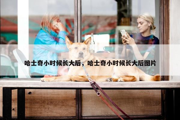 哈士奇小时候长大后，哈士奇小时候长大后图片