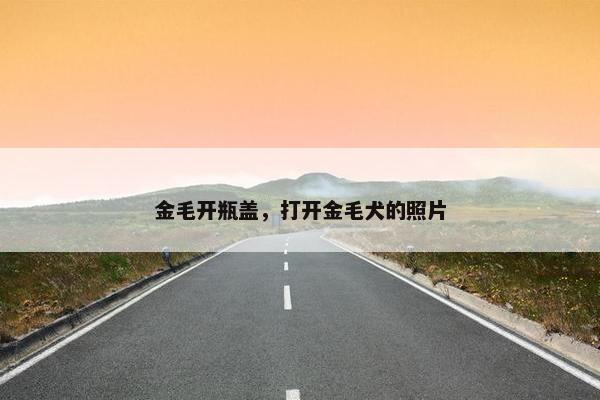 金毛开瓶盖，打开金毛犬的照片