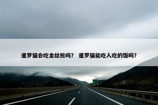 暹罗猫会吃金丝熊吗？ 暹罗猫能吃人吃的饭吗？