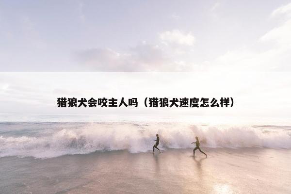 猎狼犬会咬主人吗（猎狼犬速度怎么样）