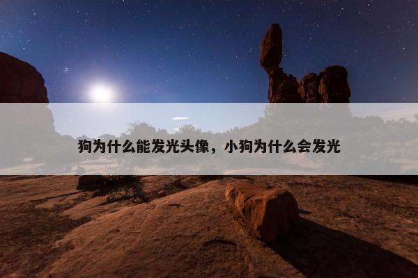 狗为什么能发光头像，小狗为什么会发光