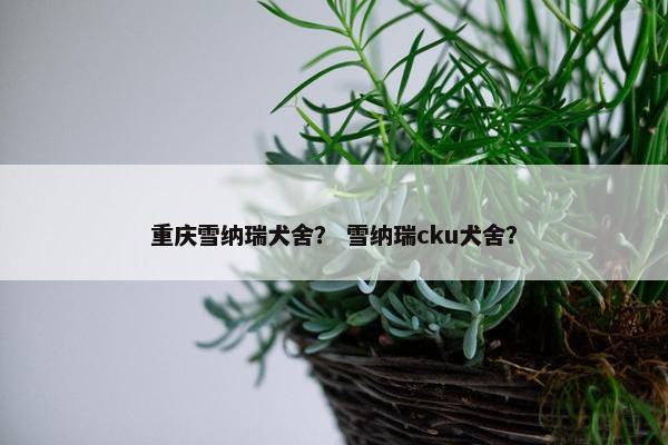 重庆雪纳瑞犬舍？ 雪纳瑞cku犬舍？