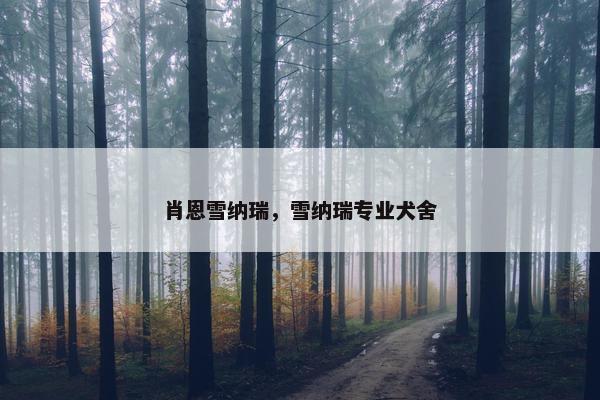 肖恩雪纳瑞，雪纳瑞专业犬舍