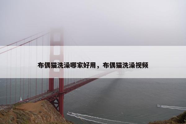 布偶猫洗澡哪家好用，布偶猫洗澡视频