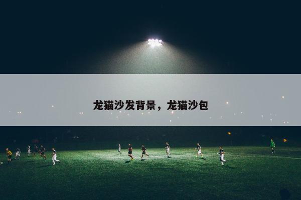 龙猫沙发背景，龙猫沙包