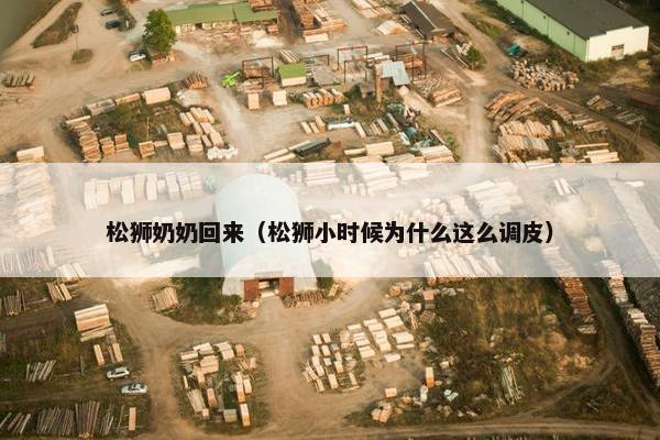 松狮奶奶回来（松狮小时候为什么这么调皮）