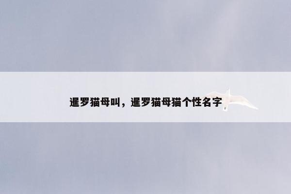 暹罗猫母叫，暹罗猫母猫个性名字