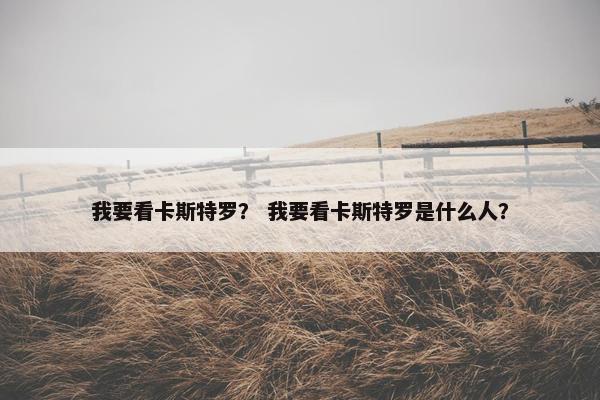 我要看卡斯特罗？ 我要看卡斯特罗是什么人？