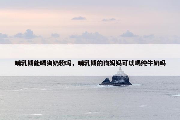 哺乳期能喝狗奶粉吗，哺乳期的狗妈妈可以喝纯牛奶吗