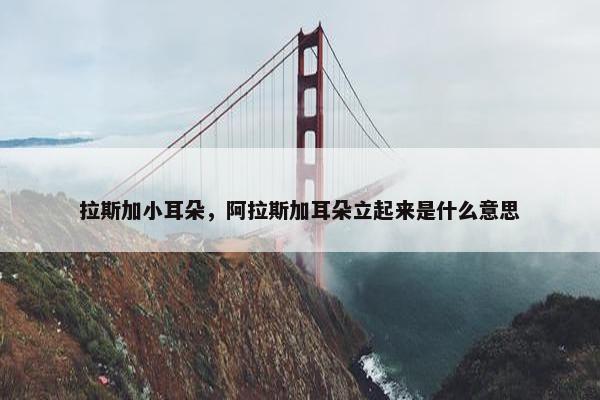 拉斯加小耳朵，阿拉斯加耳朵立起来是什么意思