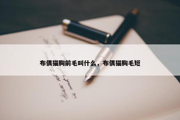 布偶猫胸前毛叫什么，布偶猫胸毛短