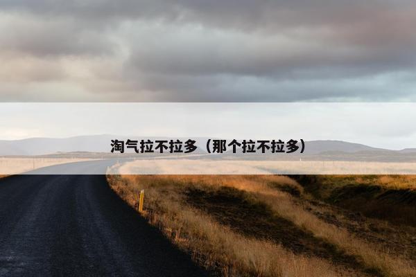 淘气拉不拉多（那个拉不拉多）