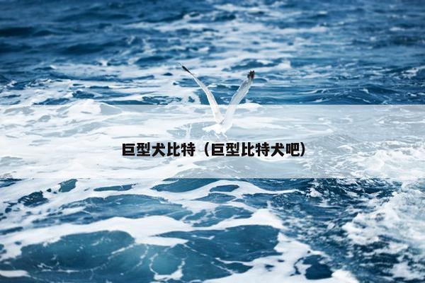 巨型犬比特（巨型比特犬吧）