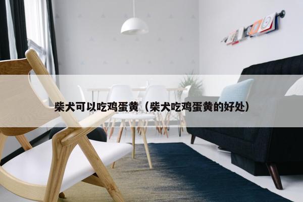 柴犬可以吃鸡蛋黄（柴犬吃鸡蛋黄的好处）