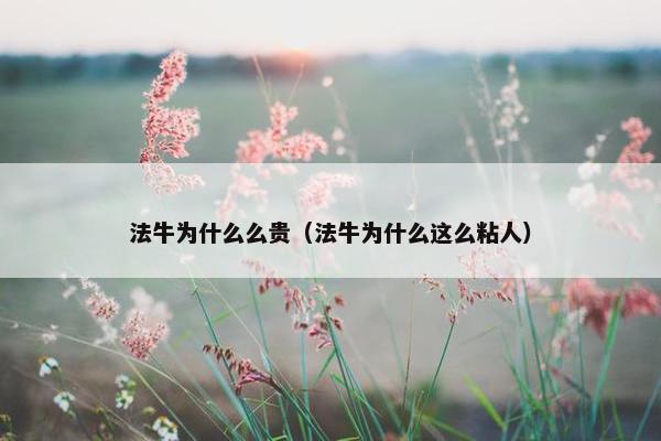 法牛为什么么贵（法牛为什么这么粘人）