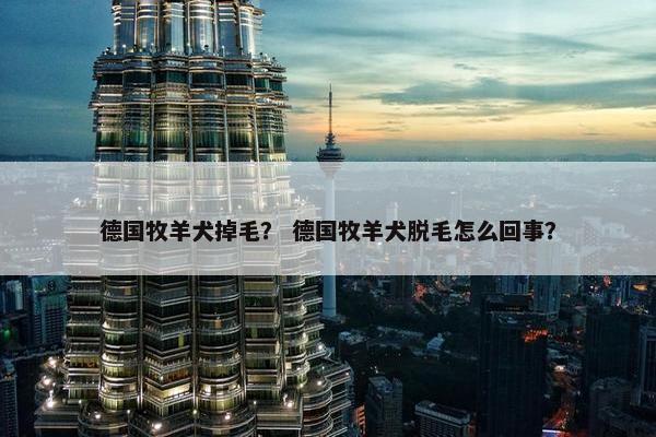 德国牧羊犬掉毛？ 德国牧羊犬脱毛怎么回事？