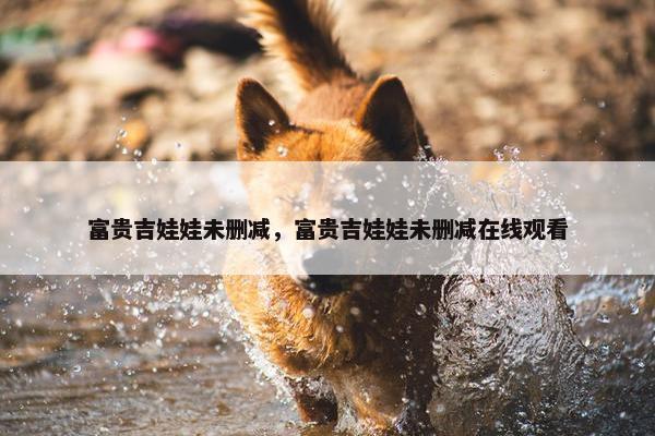 富贵吉娃娃未删减，富贵吉娃娃未删减在线观看