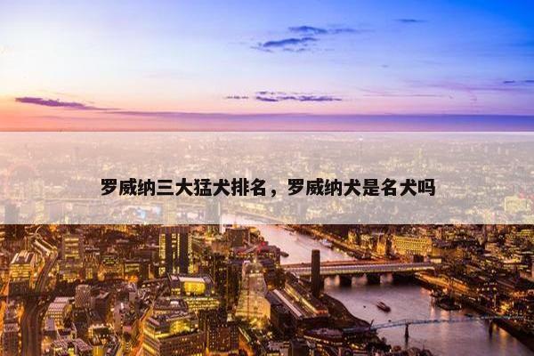 罗威纳三大猛犬排名，罗威纳犬是名犬吗