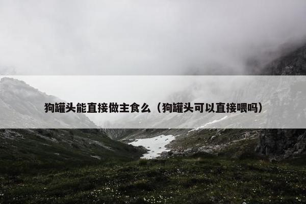 狗罐头能直接做主食么（狗罐头可以直接喂吗）
