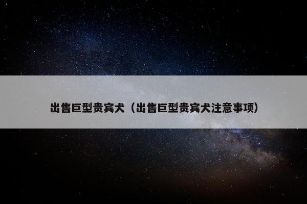 出售巨型贵宾犬（出售巨型贵宾犬注意事项）