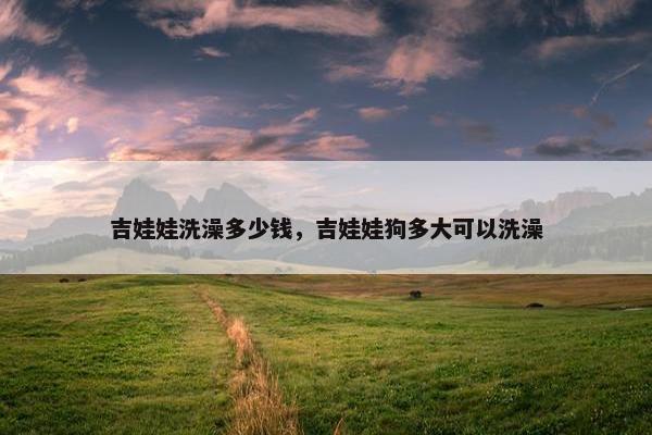 吉娃娃洗澡多少钱，吉娃娃狗多大可以洗澡