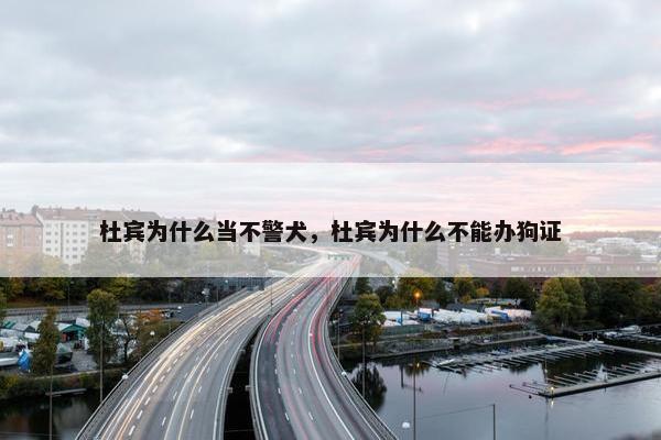 杜宾为什么当不警犬，杜宾为什么不能办狗证