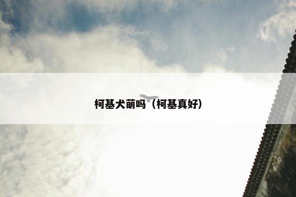 柯基犬萌吗（柯基真好）