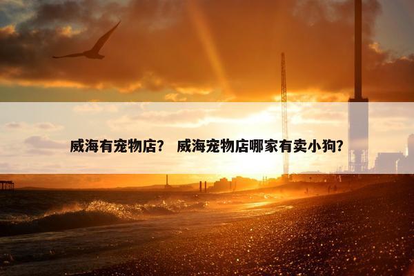 威海有宠物店？ 威海宠物店哪家有卖小狗？