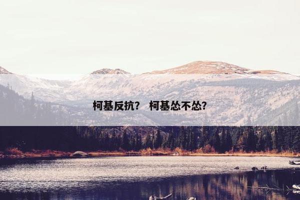 柯基反抗？ 柯基怂不怂？