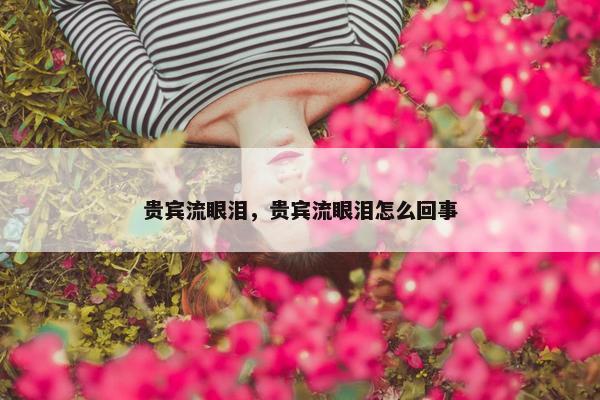 贵宾流眼泪，贵宾流眼泪怎么回事