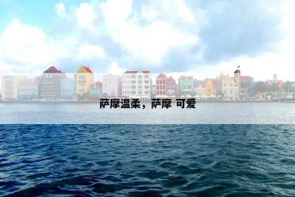 萨摩温柔，萨摩 可爱