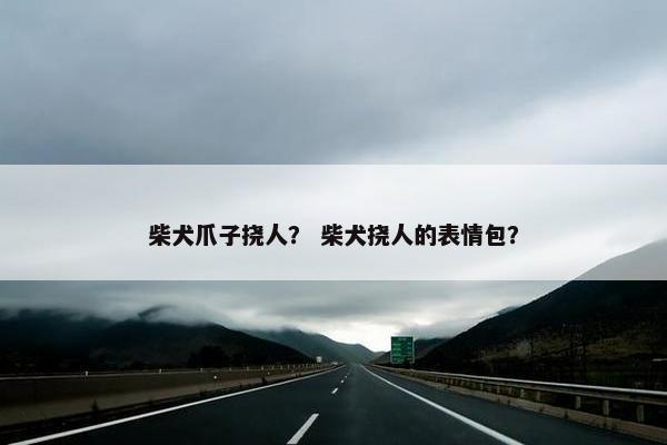 柴犬爪子挠人？ 柴犬挠人的表情包？