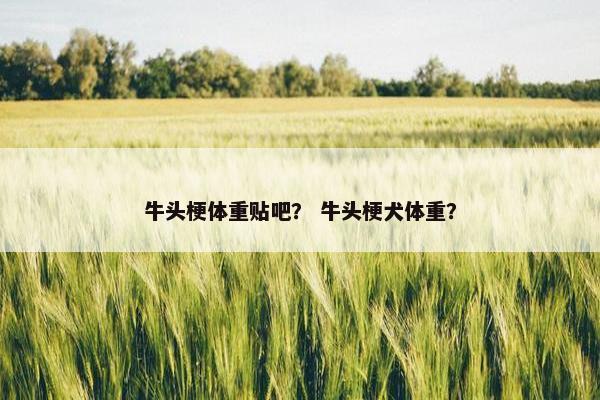 牛头梗体重贴吧？ 牛头梗犬体重？