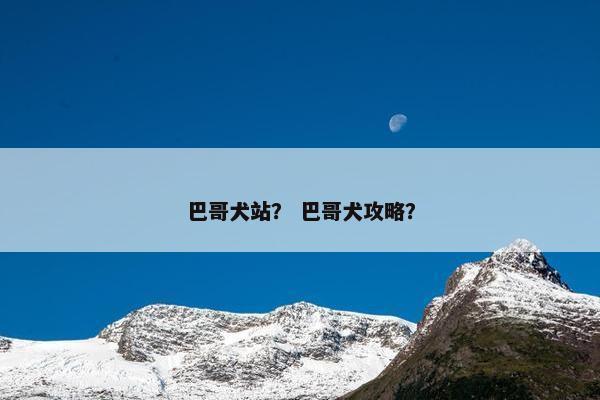 巴哥犬站？ 巴哥犬攻略？