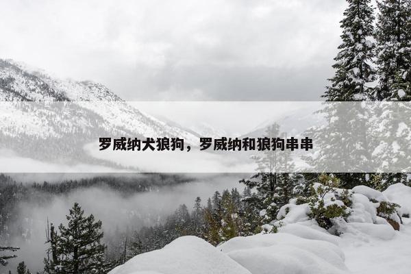 罗威纳犬狼狗，罗威纳和狼狗串串