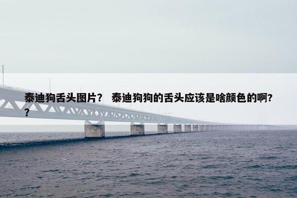 泰迪狗舌头图片？ 泰迪狗狗的舌头应该是啥颜色的啊?？