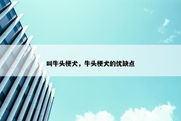 叫牛头梗犬，牛头梗犬的优缺点