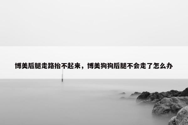 博美后腿走路抬不起来，博美狗狗后腿不会走了怎么办