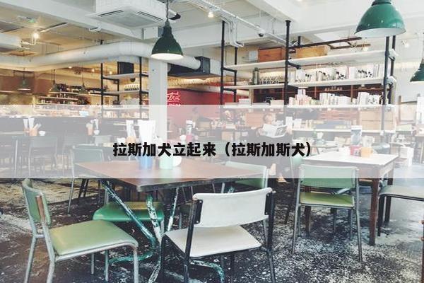 拉斯加犬立起来（拉斯加斯犬）