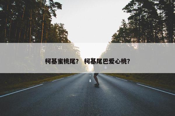 柯基蜜桃尾？ 柯基尾巴爱心桃？