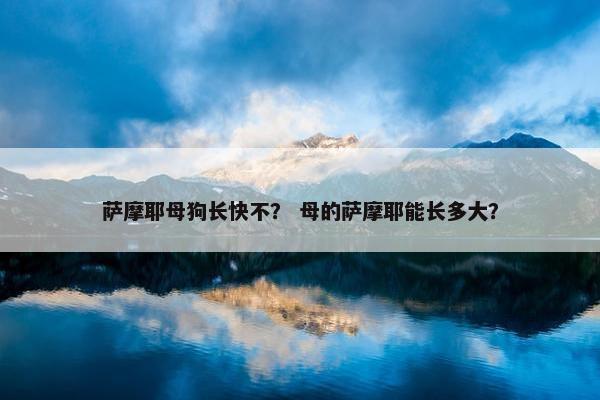 萨摩耶母狗长快不？ 母的萨摩耶能长多大？