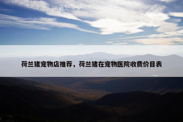 荷兰猪宠物店推荐，荷兰猪在宠物医院收费价目表