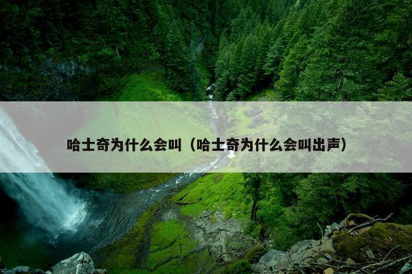 哈士奇为什么会叫（哈士奇为什么会叫出声）