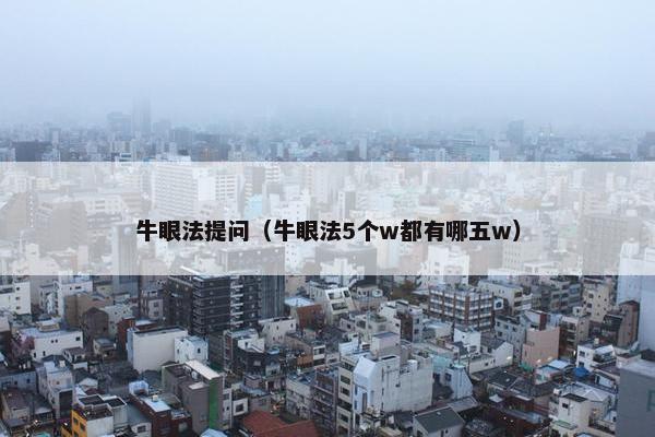 牛眼法提问（牛眼法5个w都有哪五w）