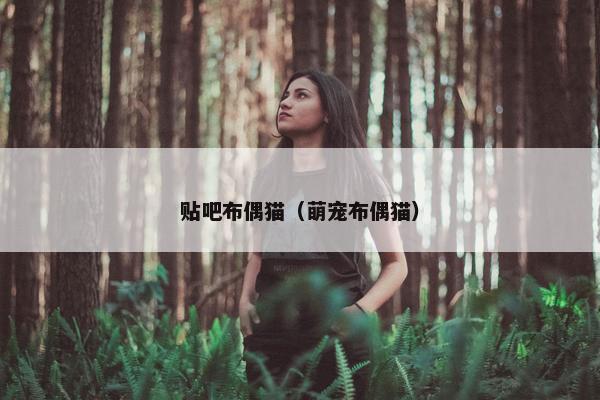 贴吧布偶猫（萌宠布偶猫）