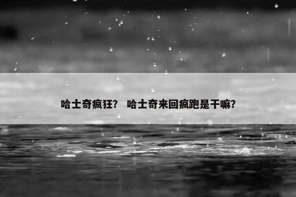 哈士奇疯狂？ 哈士奇来回疯跑是干嘛？