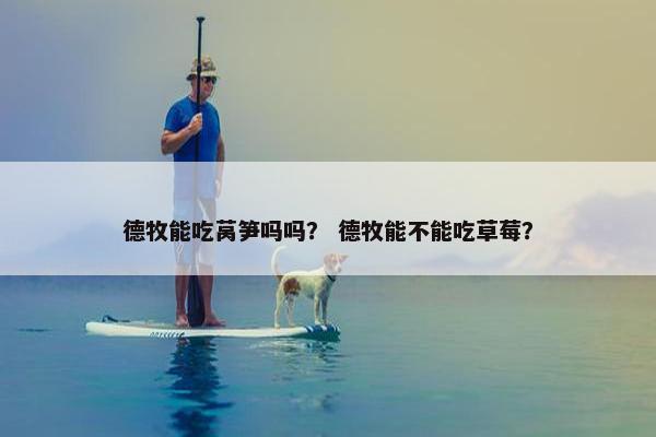 德牧能吃莴笋吗吗？ 德牧能不能吃草莓？