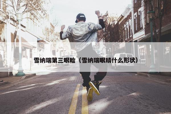雪纳瑞第三眼睑（雪纳瑞眼睛什么形状）